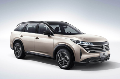 2024款  2.0T 两驱智尚版 7座